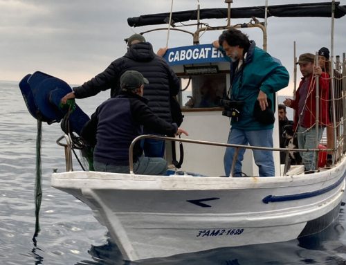 Cerrar los ojos, la última de Erice